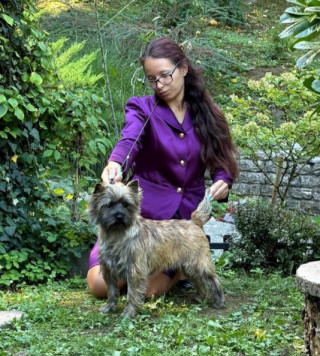 VUITTON du Harpouy d'Auzan