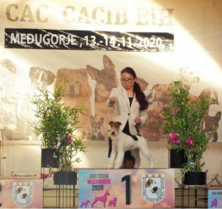 Exposition canine MEDUGORJE en Bosnie